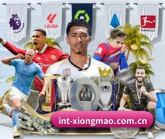 int-xiongmao.com.cn APP
