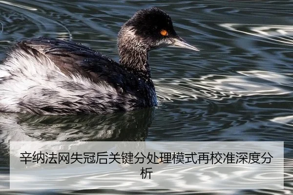 xin-na-fa-wang-shi-guan-hou-guan-jian-fen-chu-li-mo-shi-zai-jiao-zhun-shen-du-fen-xi-2-302.jpg